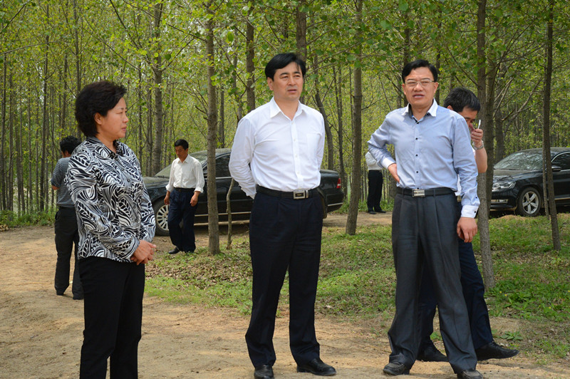 【市交通运输局】志祥局长现场办公推进洙水河航道工程建设
