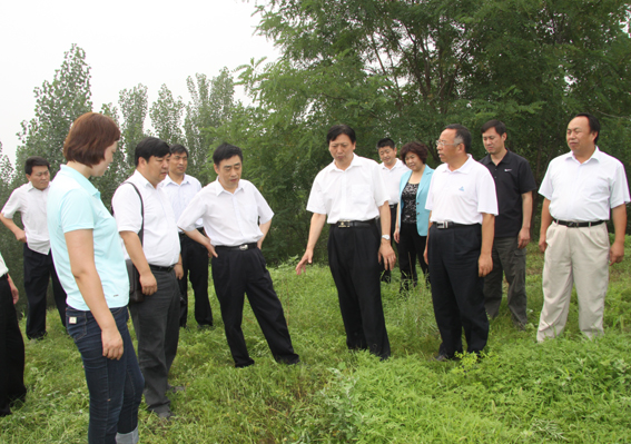 【市文物局】国家文物局公安部联合工作组到济宁市调研指导打击文物