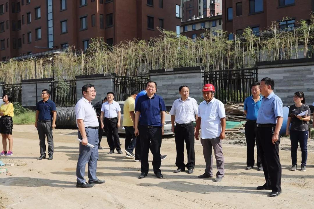 展鑫书记,曹广州主任调度我区重点项目建设