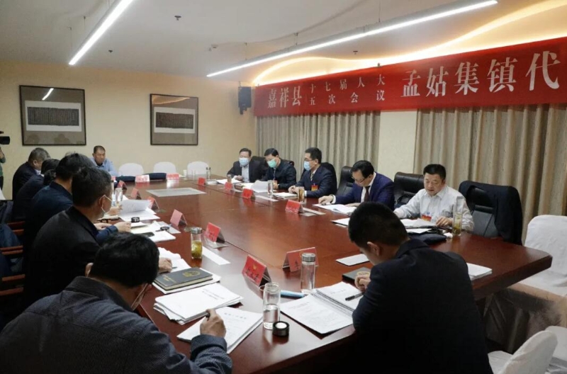嘉祥县聚焦人代会丨大会主席团常务主席分别参加代表团审议讨论