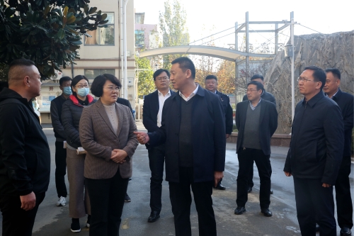 >要闻动态>县区动态> 11月22日,市委副书记,市长杜庆节调研督导全国
