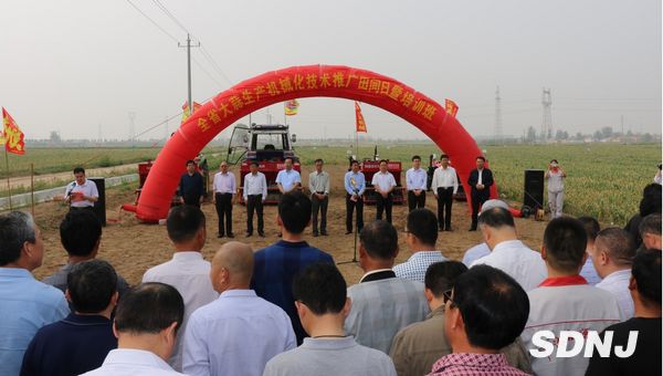 全省大蒜生产机械化技术推广田间日暨培训班在金乡举办