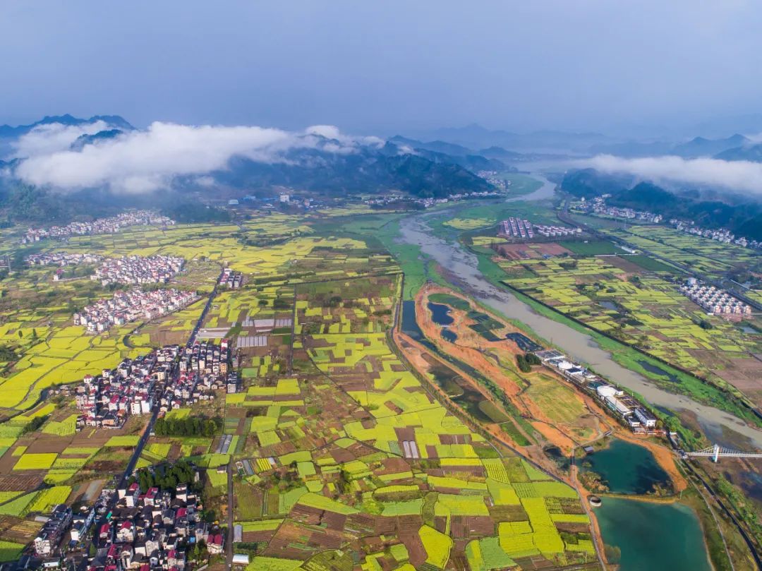 2018年4月3日，浙江省杭州市淳安县千岛湖汾口镇湿地公园内的景观池塘、盛开的郁金香与周边数千亩油菜花相映成趣，构成美丽的春季乡村图景（无人机拍摄）。新华社记者徐昱 摄