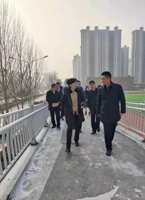 宫晓芳副市长调研城区过街天桥项目建设情况