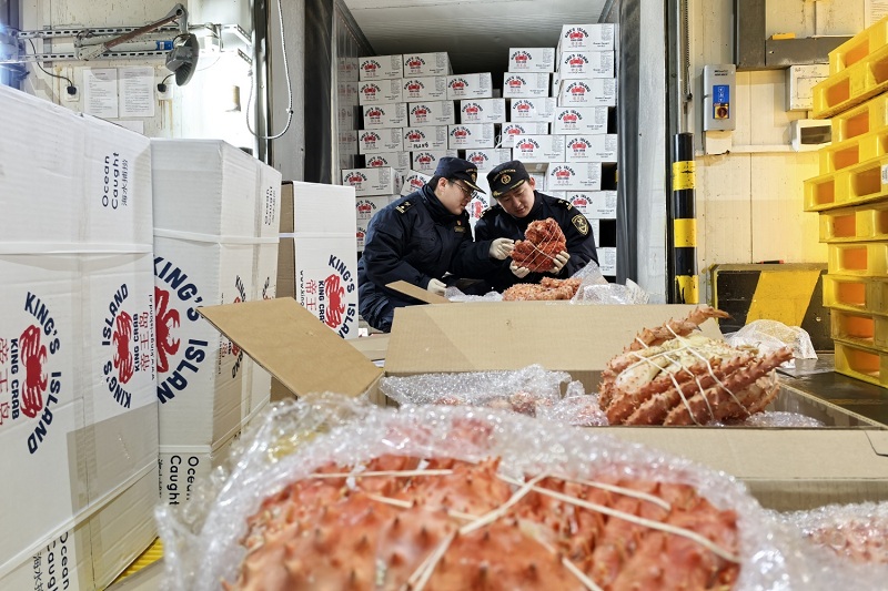 关员在冷链货物查验场对进口帝王蟹实施查验熊飞雪摄[1]