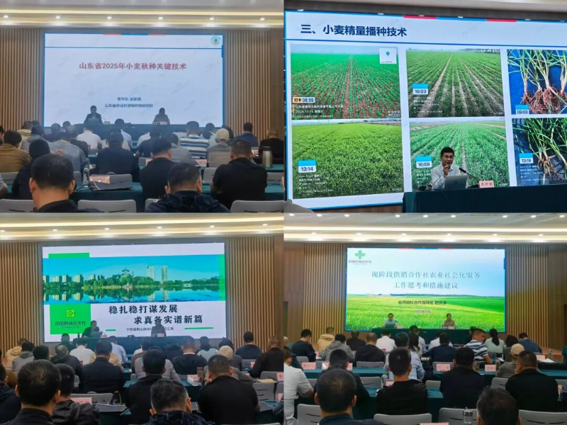 市供销社举办全市供销系统农业社会化服务暨“三秋”农业生产技术培训班