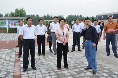 市政府副市长陈颖一行先后查看了我县污水处理厂,泗河红旗闸断面水质