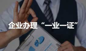 企业办理“一业一证”