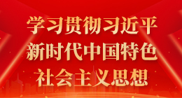 学习贯彻习近平新时代中国特色社会主义思想