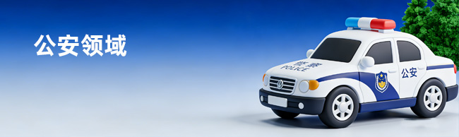 公安领域