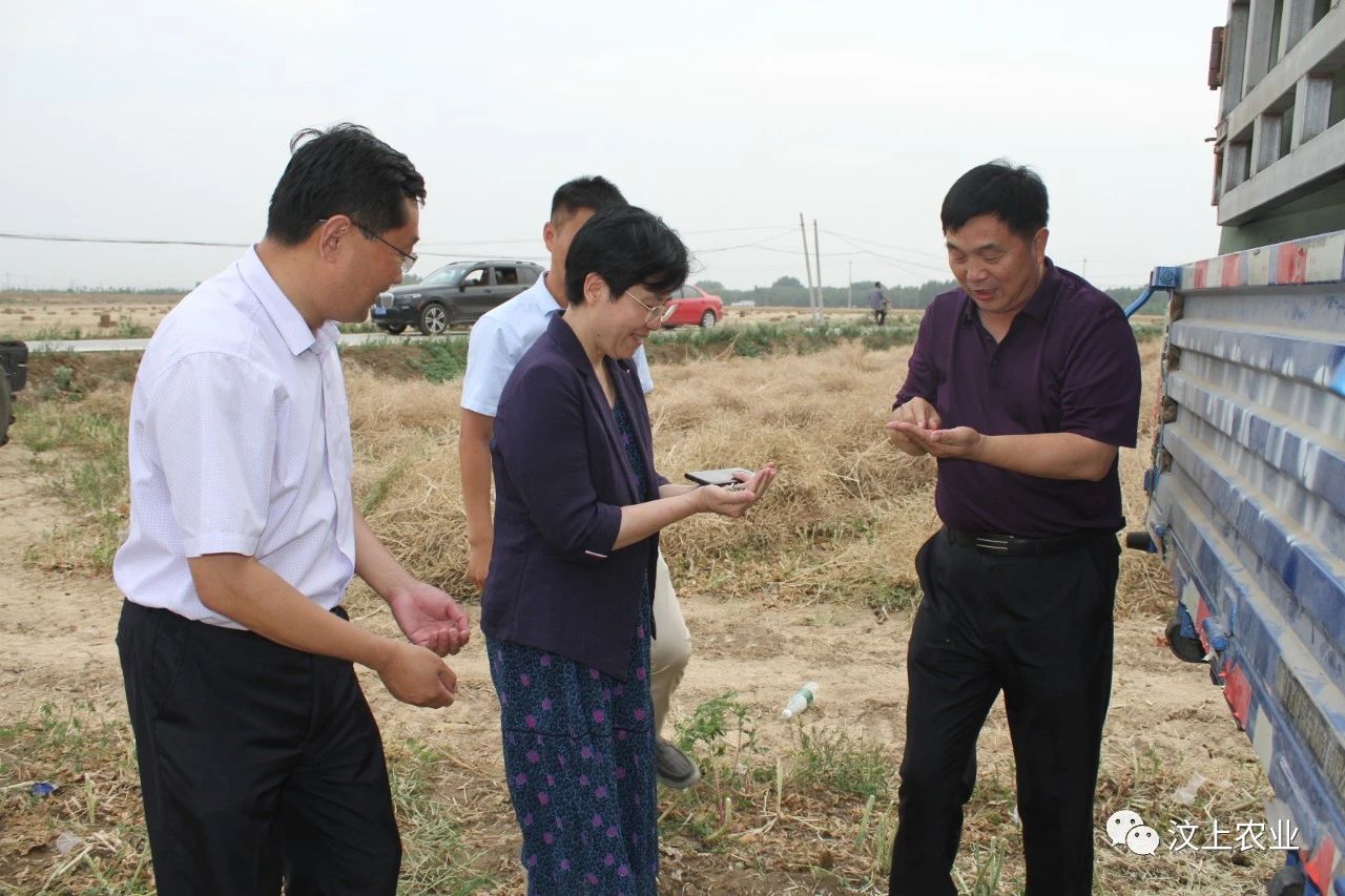 县委书记李志红到部分镇街督导检查三夏生产秸秆禁烧和乡村振兴工作
