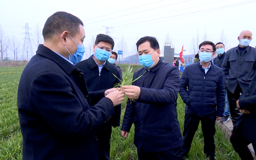 邹城市张百顺调研春季农业生产时强调不失时机做好春季农业生产工作为