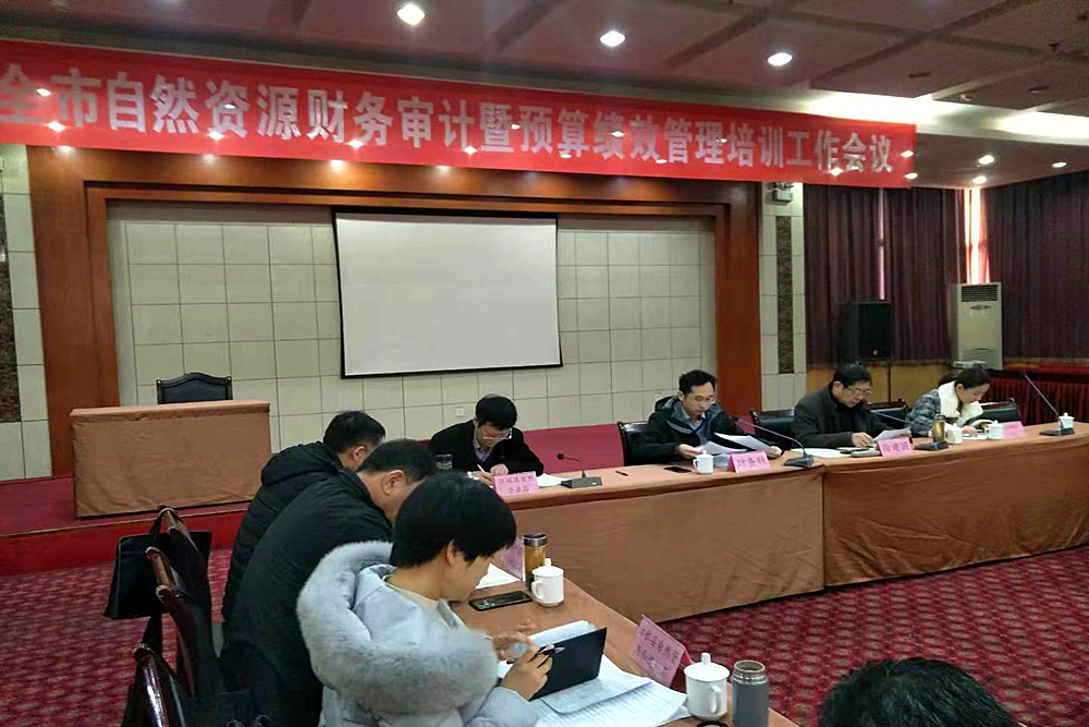 会议回顾总结了一年来全市自然资源和规划财务审计工作,深入分析当前