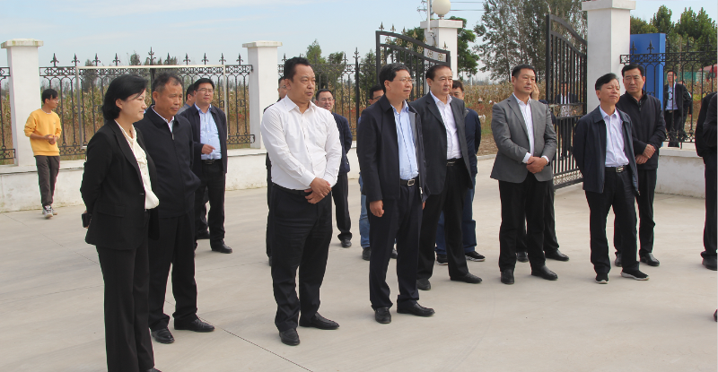 金乡县市人大领导来我县视察农村生活污水治理工作