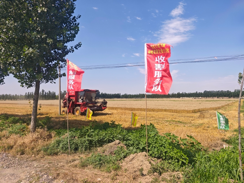 微信图片_20260618101901.jpg