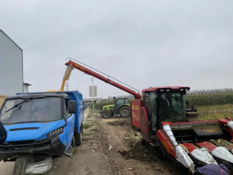 市供销社：多措并举破解阴雨秋收难题 全力守护“三秋”粮食安全