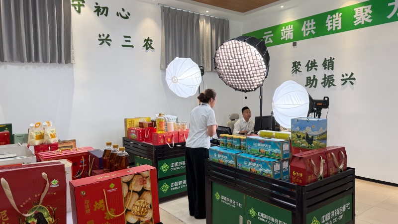 微信图片_20260624162210.jpg
