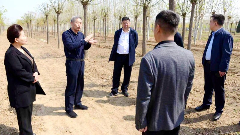 任城区宋华东就森林防火和安全生产工作进行现场办公