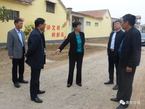 汶上县县委书记李志红县委常委组织部长张沉静到我县南旺镇督导农村人